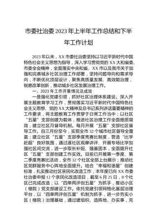 市委社治委2023年上半年工作总结和下半年工作计划