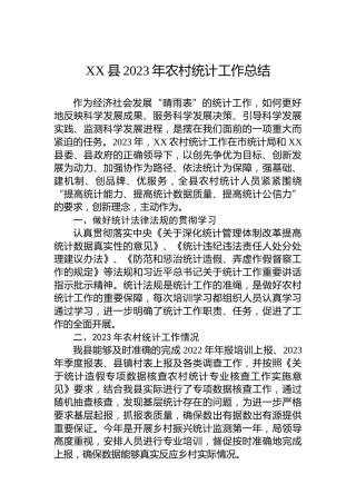 XX县2023年农村统计工作总结