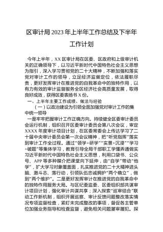 区审计局2023年上半年工作总结及下半年工作计划