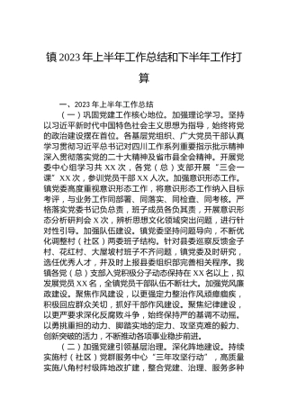 镇2023年上半年工作总结和下半年工作打算