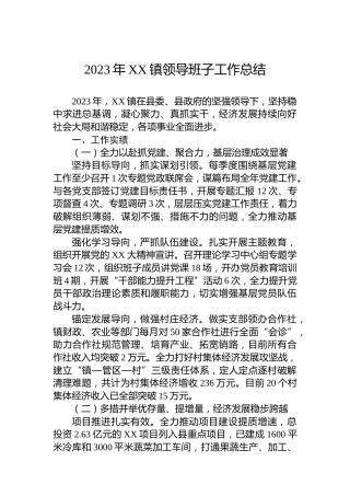 2023年XX镇领导班子工作总结