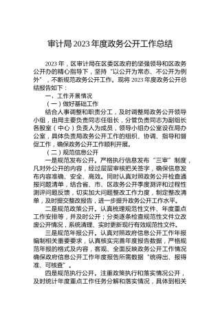 审计局2023年度政务公开工作总结