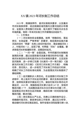 XX镇2023年河长制工作总结