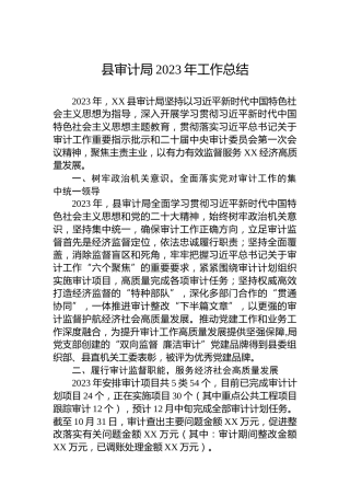 县审计局2023年工作总结