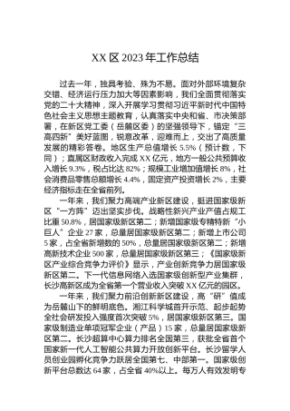 XX区2023年工作总结