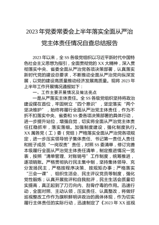 2023年党委常委会上半年落实全面从严治党主体责任情况自查总结报告