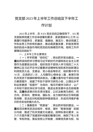 党支部2023年上半年工作总结及下半年工作计划