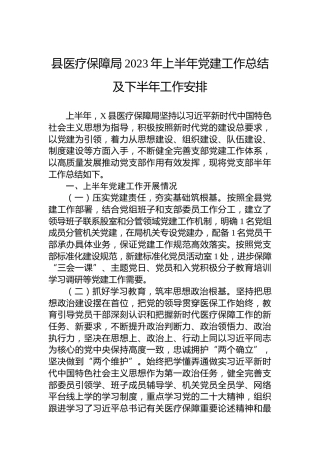县医疗保障局2023年上半年党建工作总结及下半年工作安排