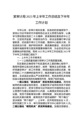 某审计局2023年上半年工作总结及下半年工作计划