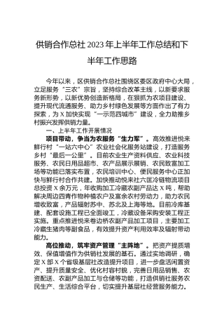 供销合作总社2023年上半年工作总结和下半年工作思路