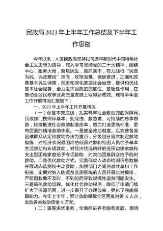 民政局2023年上半年工作总结及下半年工作思路