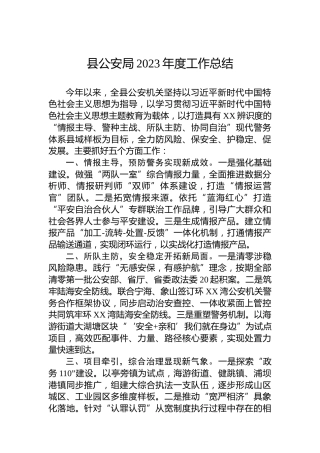 县公安局2023年度工作总结