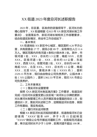 XX街道2023年度总河长述职报告