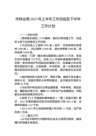 市林业局2023年上半年工作总结及下半年工作计划
