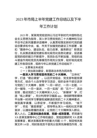 2023年市局上半年党建工作总结以及下半年工作计划