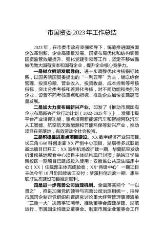 市国资委2023年工作总结
