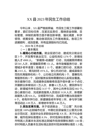 XX县2023年民生工作总结