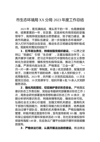市生态环境局XX分局 2023年度工作总结
