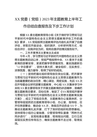 XX党委（党组）2023年主题教育上半年工作总结自查报告及下步工作计划