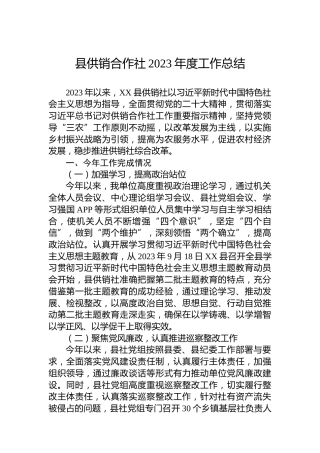 县供销合作社2023年度工作总结