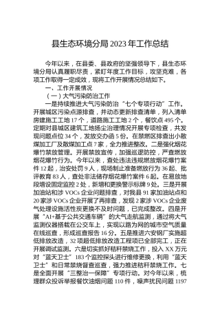 县生态环境分局2023年工作总结