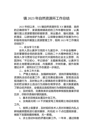 镇2023年自然资源所工作总结