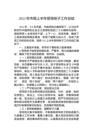 2023年市局上半年领导班子工作总结