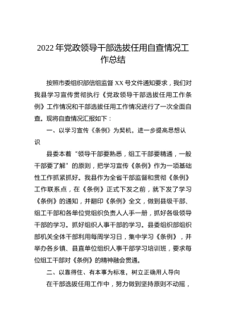 2022年党政领导干部选拔任用自查情况工作总结