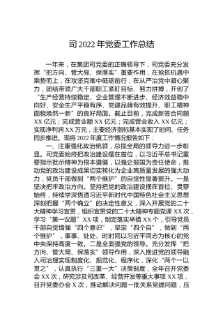 司2022年党委工作总结