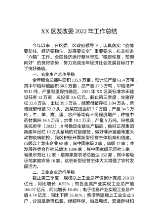 XX区发改委2022年工作总结