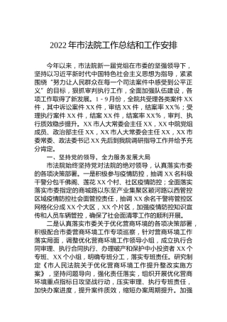 2022年市法院工作总结和工作安排
