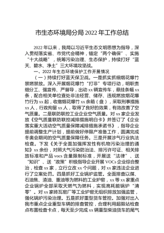 市生态环境局分局2022年工作总结