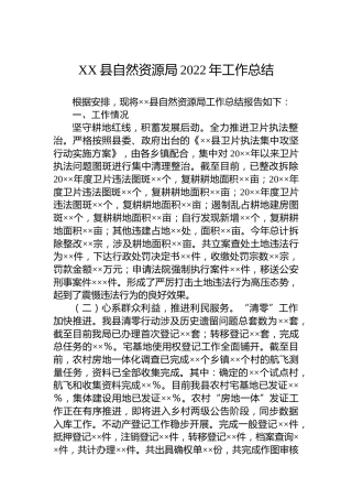 XX县自然资源局2022年工作总结