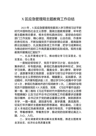X区应急管理局主题教育工作总结