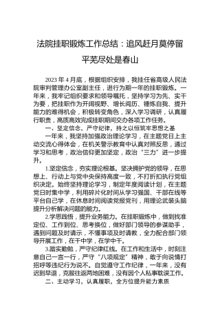 法院挂职锻炼工作总结：追风赶月莫停留平芜尽处是春山