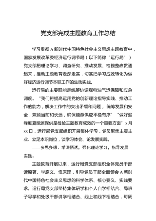 党支部完成主题教育工作总结