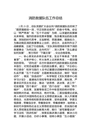 消防救援队伍工作总结