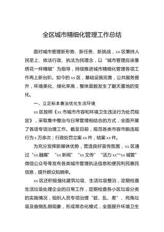 全区城市精细化管理工作总结