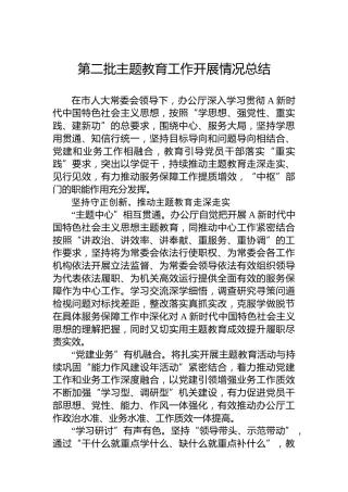 第二批主题教育工作开展情况总结