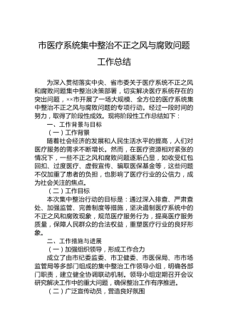 市医疗系统集中整治不正之风与腐败问题工作总结