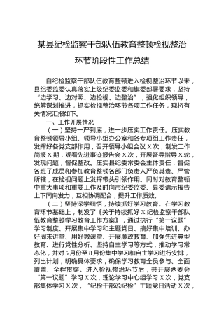 某县纪检监察干部队伍教育整顿检视整治环节阶段性工作总结