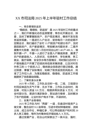 XX市司法局2025年上半年驻村工作总结