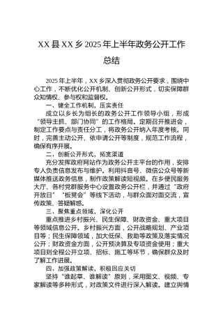 XX县XX乡2025年上半年政务公开工作总结