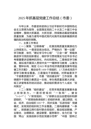 2025年抓基层党建工作总结（市委）
