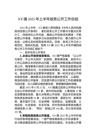 XX镇2025年上半年政务公开工作总结