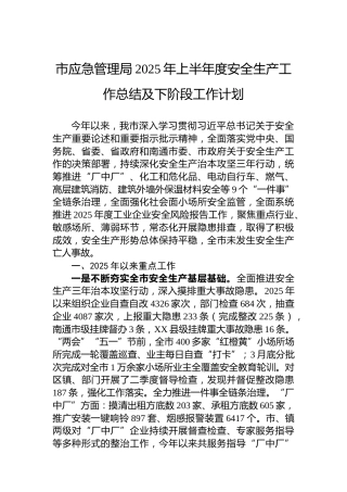市应急管理局2025年上半年度安全生产工作总结及下阶段工作计划