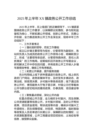 2025年上半年XX镇政务公开工作总结