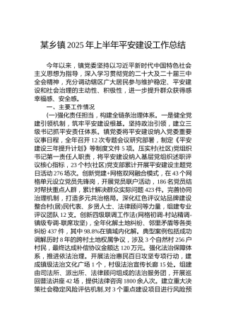 某乡镇2025年上半年平安建设工作总结