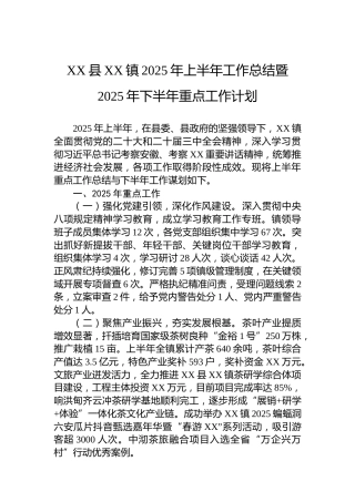 XX县XX镇2025年上半年工作总结暨2025年下半年重点工作计划