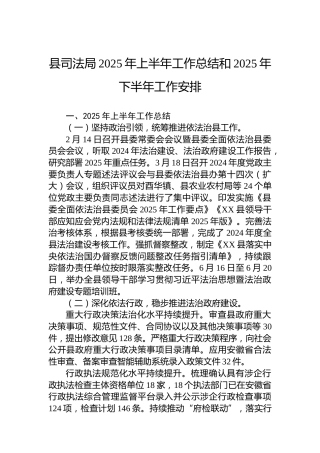 县司法局2025年上半年工作总结和2025年下半年工作安排